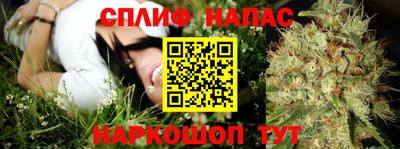 сатива Первоуральск