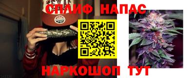 гидропоника Пенза