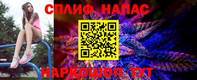 спиды Пугачёв