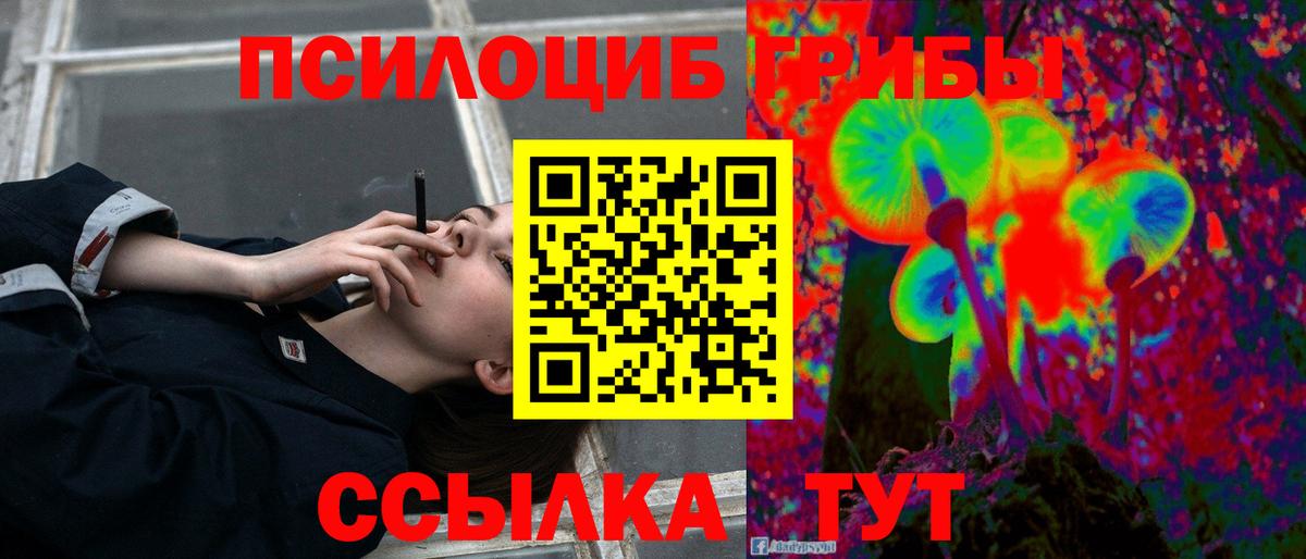 Псилоцибиновые грибы Psilocybe Обь