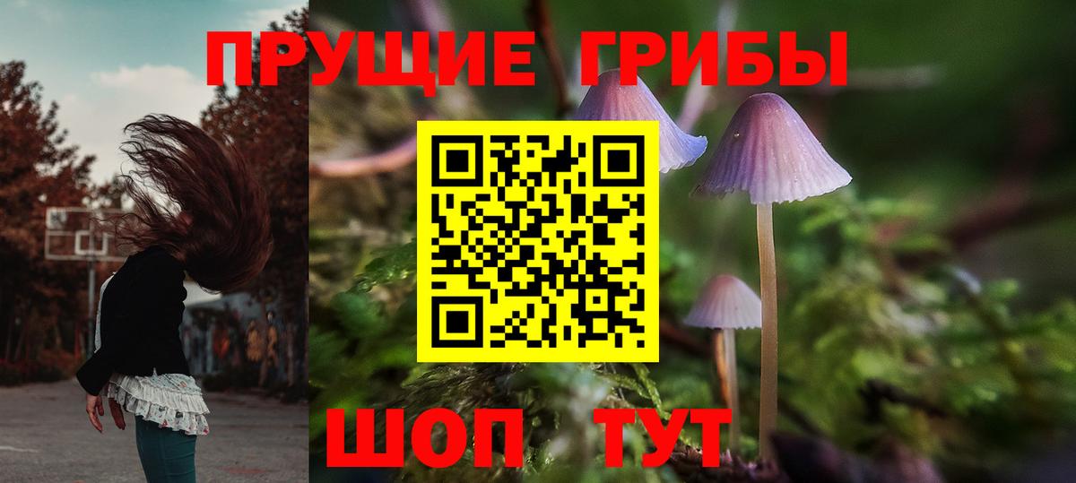 Обь  Галлюциногенные грибы Cubensis  Вход с VPN  где найти наркотики  Галлюциногенные грибы мухоморы 